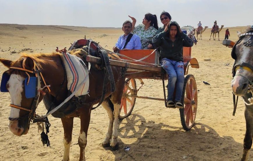 Magical Day Tour to Giza Pyramids & Grand Egyptian Museum