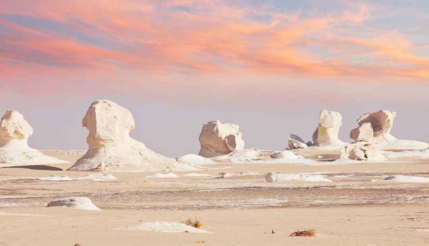 Black and White Desert Tour