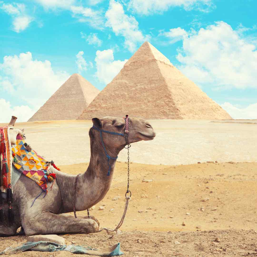 egypt vacation cost