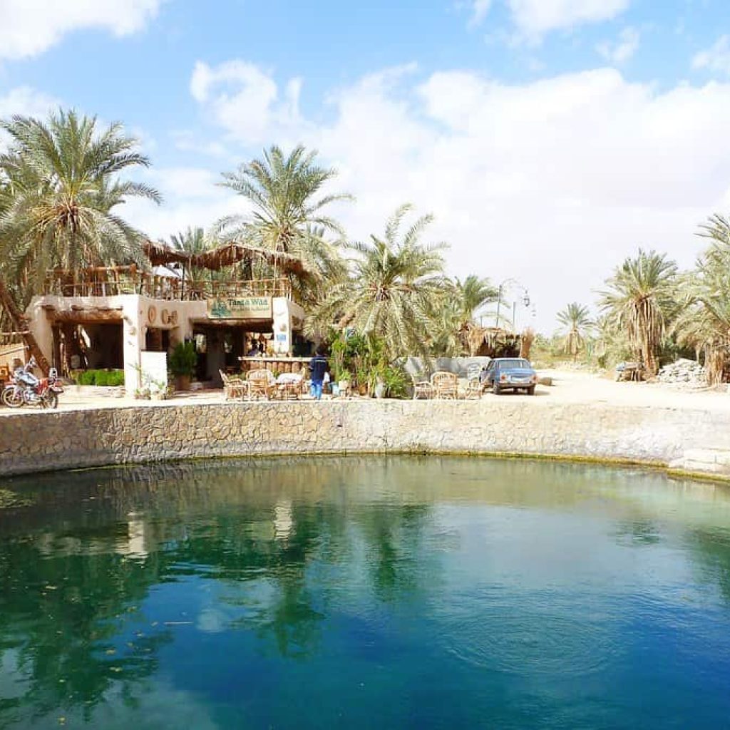 Escape to the Oasis: A Siwa Oasis Tour from Cairo