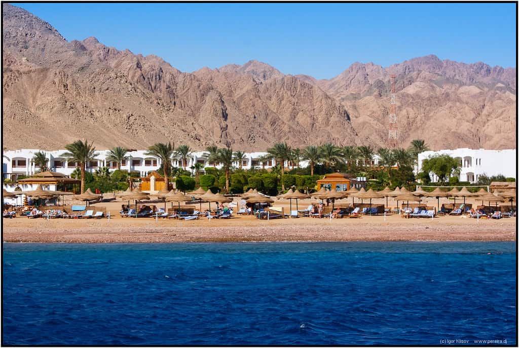 Escape the Crowds: A Dahab Adventure from Cairo